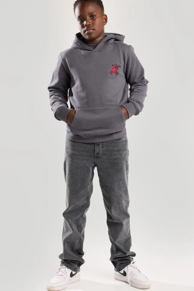 Store AmericaToday Hoodie Stu Hood Jr steelgrey/pink