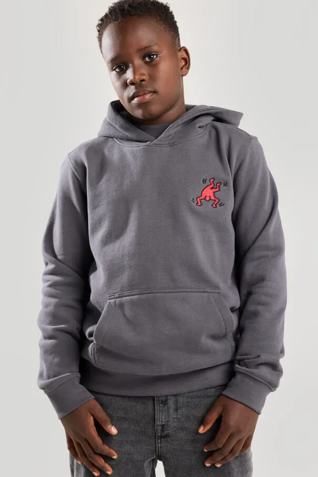 Store AmericaToday Hoodie Stu Hood Jr steelgrey/pink
